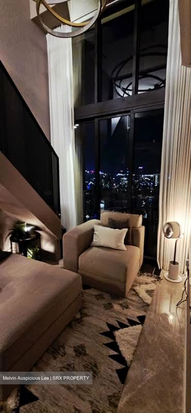 Irwell Hill Residences (D9), Apartment #563309921